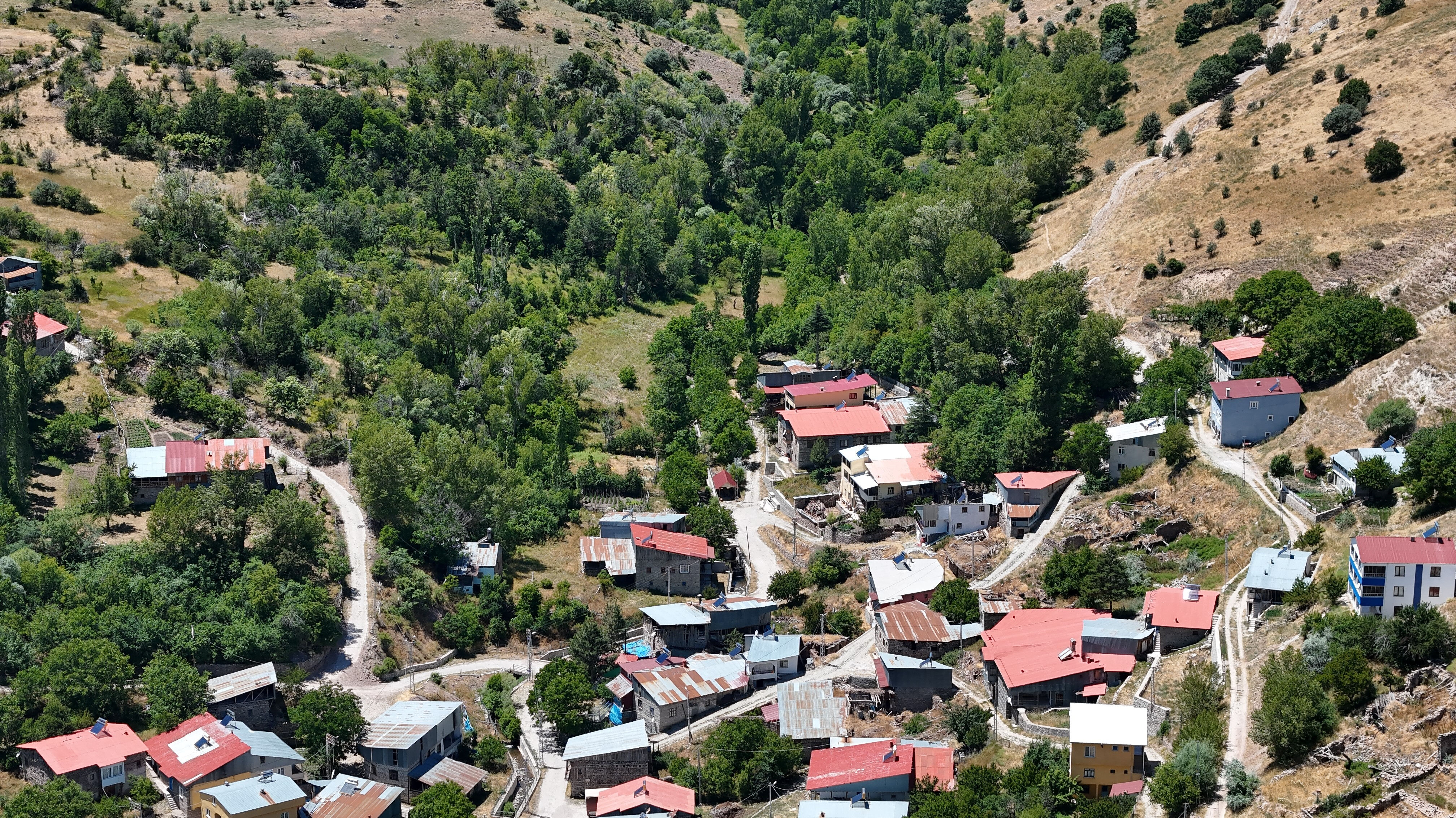 Bozkırın ortasında saklı bir hazine! Adeta vahayı andırıyor, gören hayran kalıyor - 1. Resim