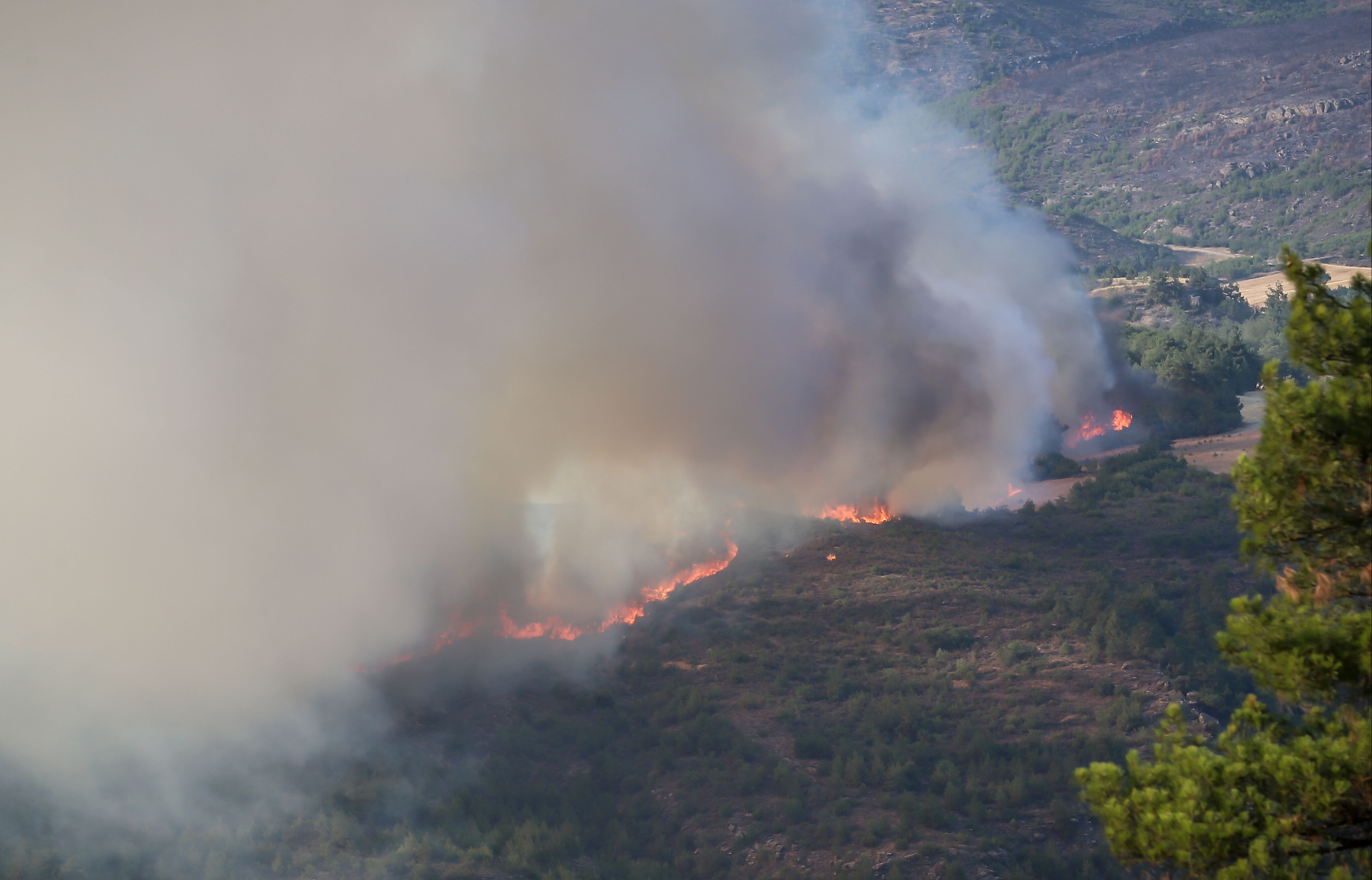 Bursa'dan sonra bu sefer de Sakarya! Orman yangınına ilişkin 2 gözaltı Bursa'dan sonra bu sefer de Sakarya! Orman yangınına ilişkin 2 gözaltı - 1. Resim