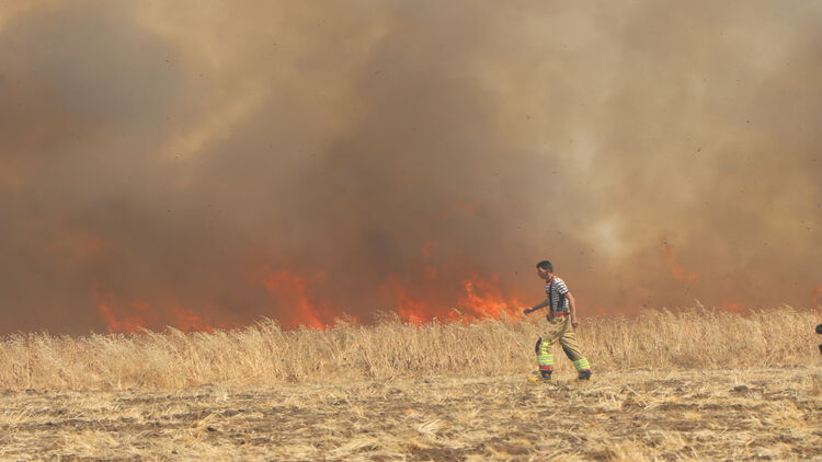 Çorum'da acı kayıp! Alevler mahsur kalan çiftçiyi de aldı... - 1. Resim
