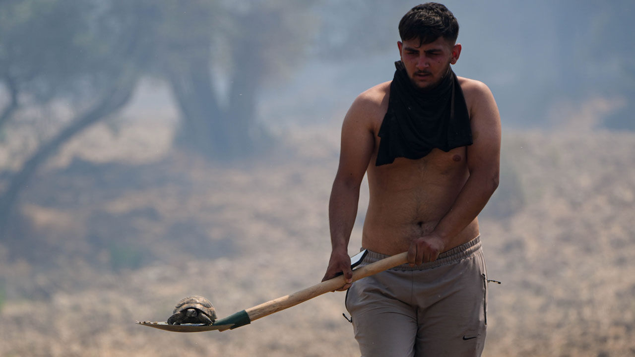 İzmir'de orman yangını! Bornova'daki alevler Buca'ya sıçradı İzmir'de orman yangını! Bornova'daki alevler Buca'ya sıçradı - 6. Resim