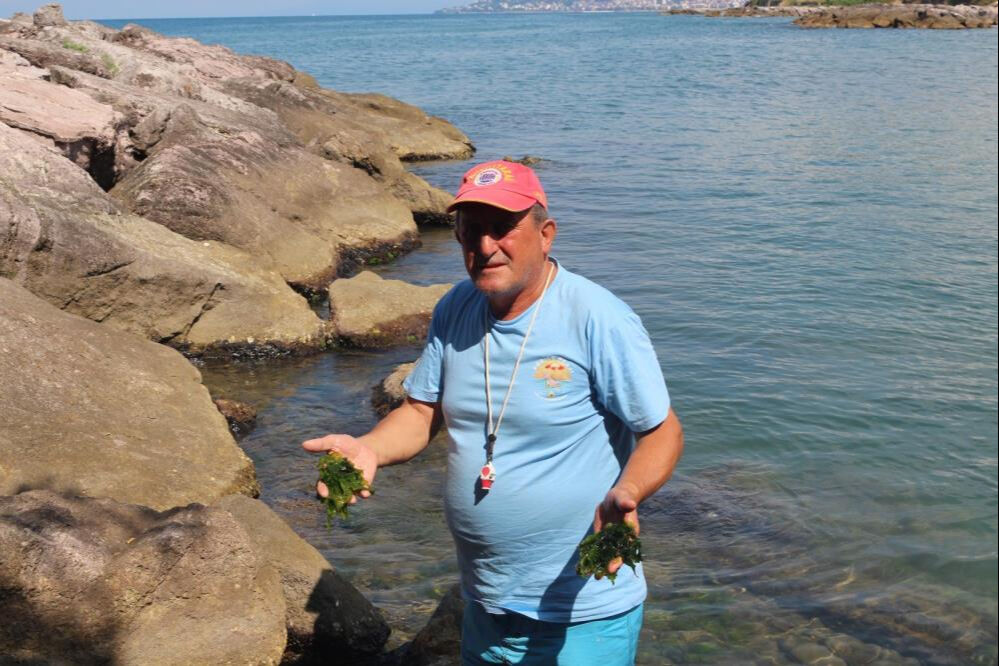 Japonlar bile peşine düştü! Sağlık açısından faydası saymakla bitmiyor - 1. Resim