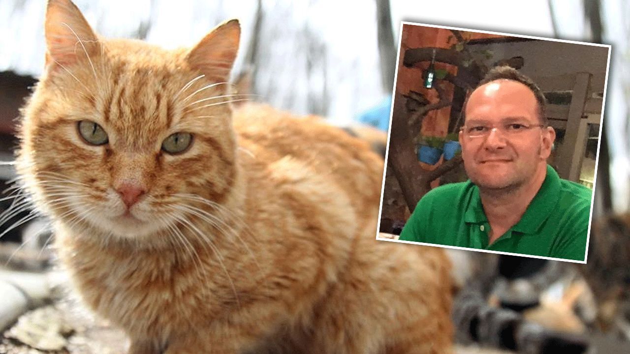 Kedi sevgisi sonu oldu! Akciğerine kaçan tüy nedeniyle hayatını kaybetti Kedi sevgisi sonu oldu! Akciğerine kaçan tüy nedeniyle hayatını kaybetti