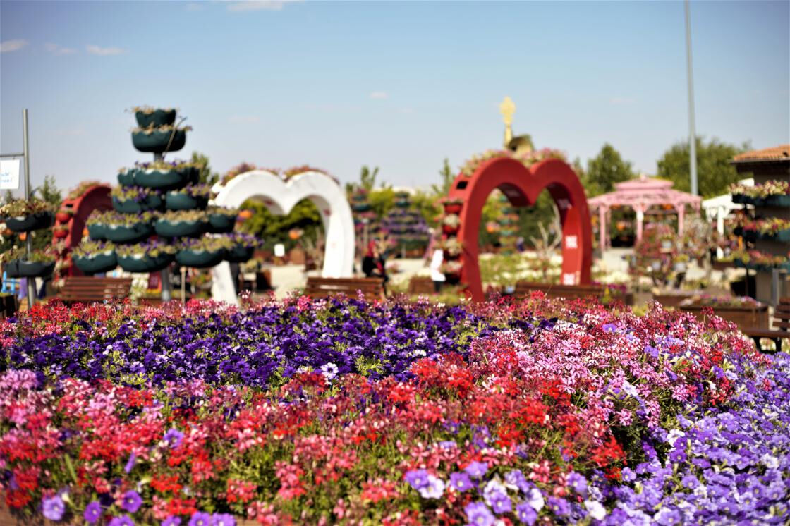 Konya Kelebekler Vadisi açık mı? Çalışma saatleri merak ediliyor Konya Kelebekler Vadisi açık mı? Çalışma saatleri merak ediliyor - 2. Resim