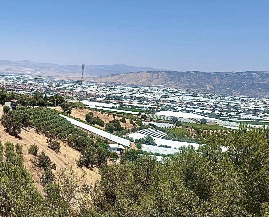 &Ouml;rt&uuml; altında korumaya alındı! Sarıg&ouml;l Ovası beyaz gelinliğini giydi - 2. Resim