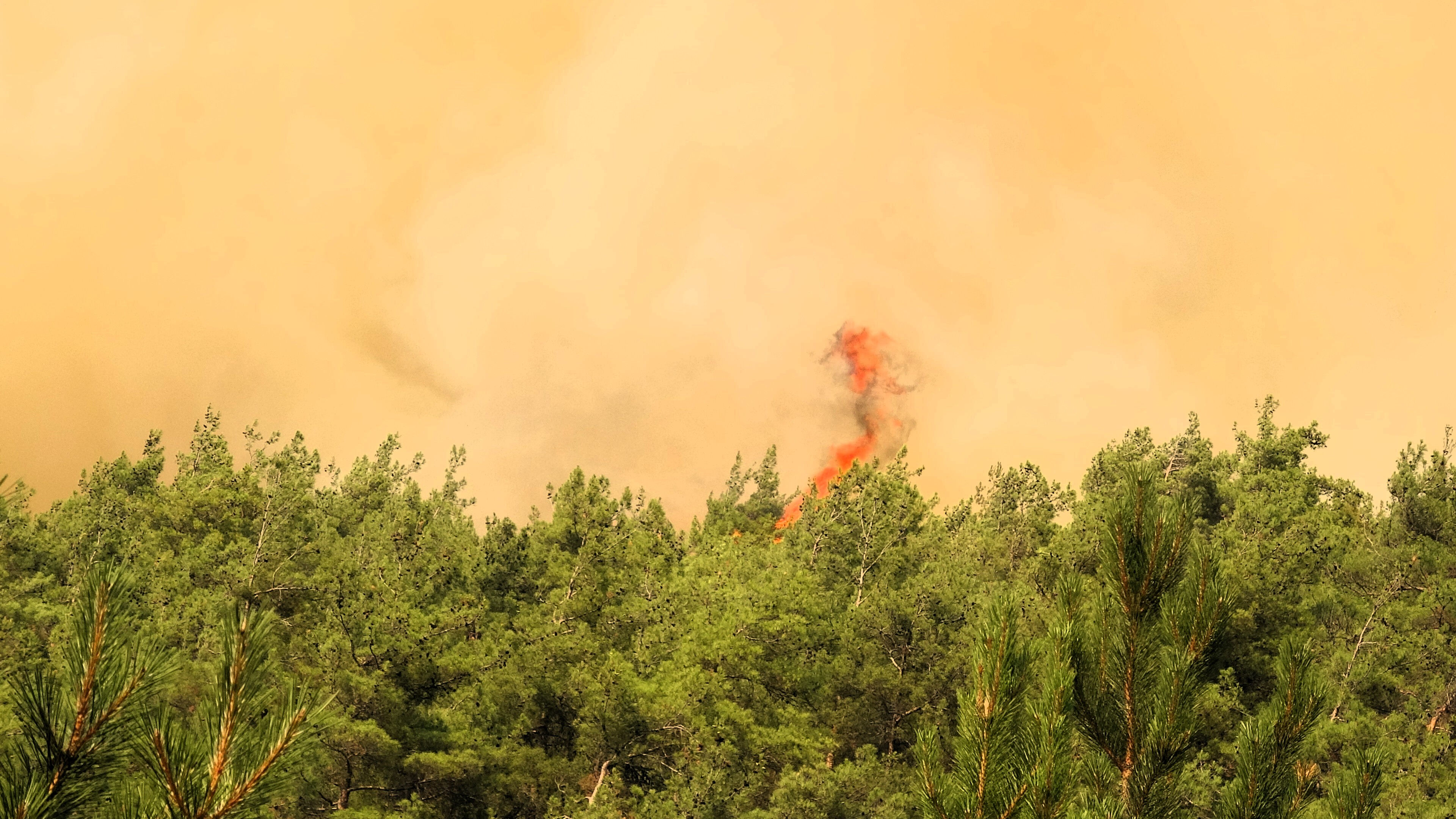 Yangınlarda son durum ne? Bursa, Karabük ve Kahramanmaraş yangınları gündemde! Bursa yangın son dakika