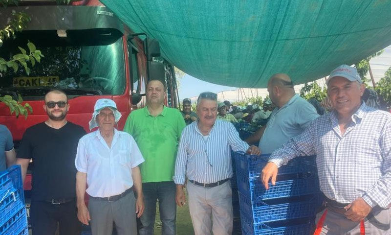 Her yer kururken orası bereketlendi! Kilosu 60 TL’den satılıyor… Avrupalılar ve Araplar almak için yarışıyor Her yer kururken orası bereketlendi! Kilosu 60 TL’den satılıyor… Avrupalılar Araplar almak için yarışıyor - 2. Resim