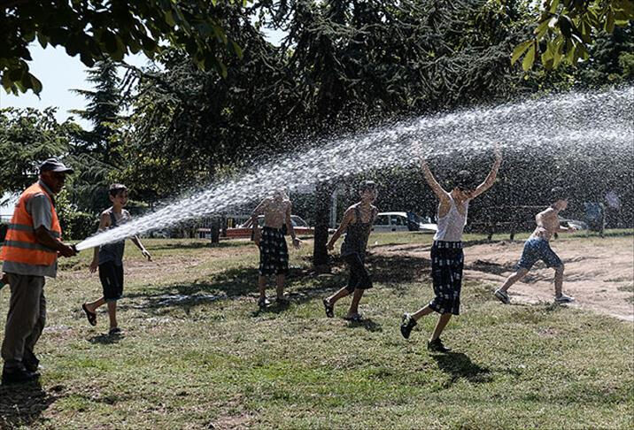Sadece güneş değil, gölgede de tehlike var! Aman dikkat: Uzman tek tek açıkladı - 1. Resim