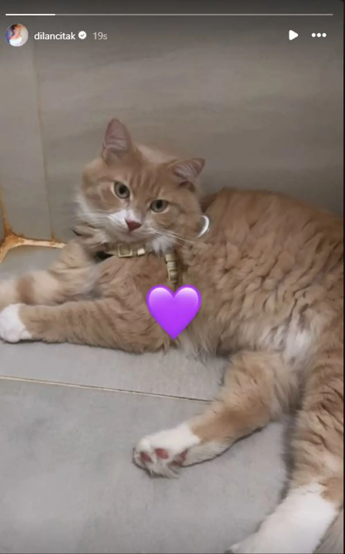 Dilan Çıtak polisin üzerine araç sürmüştü: Yasemin Şefkatli’den bomba gönderme! Ardından gelen paylaşım olay oldu Tatlıses ailesinde kriz! Yasemin Şefkatli'den bomba gönderme: Dilan Çıtak'tan olay paylaşım... - 4. Resim