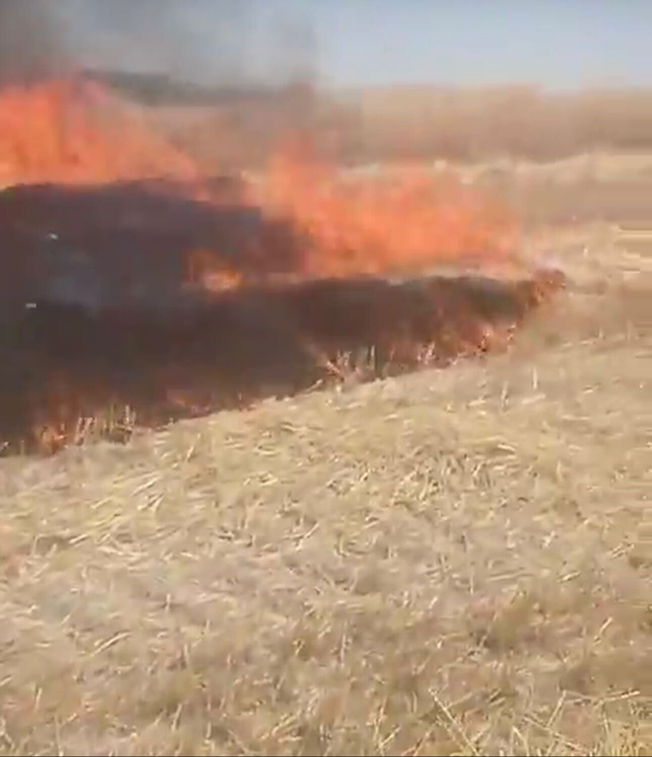 Tam söndürüldü derken, alevler Başkent'te yükseldi! Ankara'da çıkan anız yangını çevreye sıçradı Yangınlar tam söndürüldü derken, alevler Başkent'te yükseldi! Ankara'da çıkan anız yangını çevreye sıçradı - 2. Resim