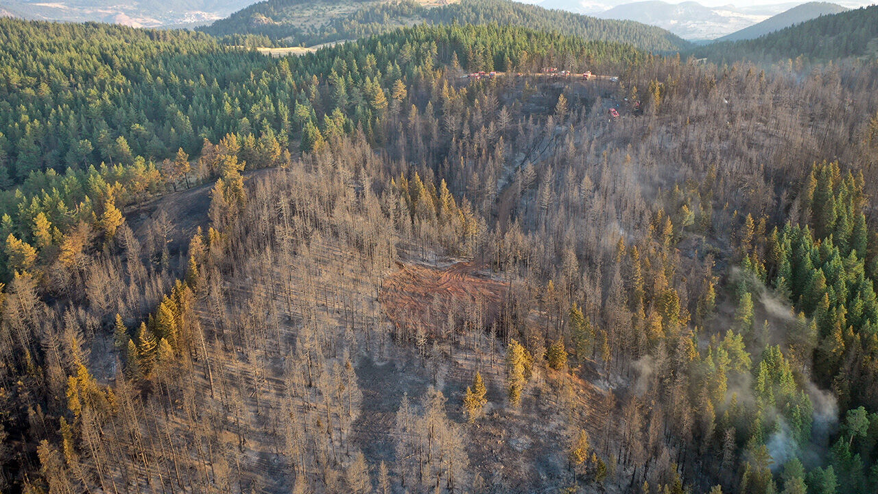 10 saatlik yangın ciğerlerimizi yaktı! Tahribat g&uuml;n ağarınca ortaya &ccedil;ıktı - 2. Resim