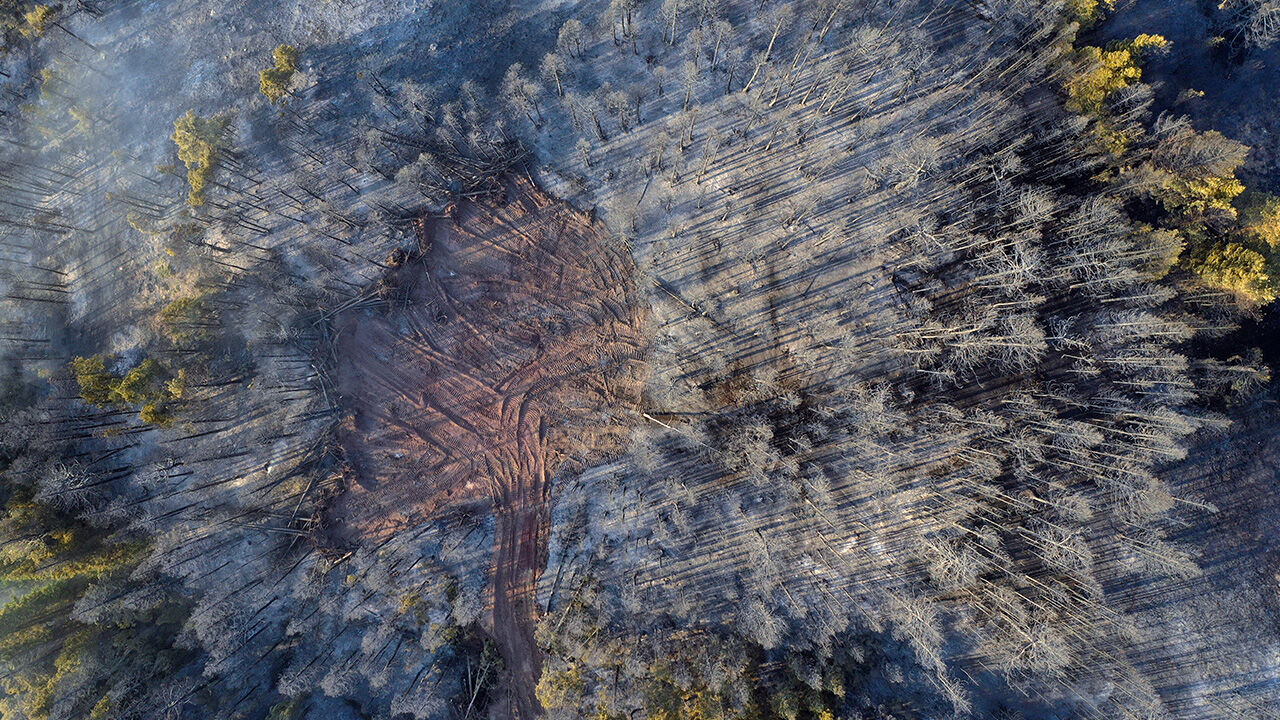 10 saatlik yangın ciğerlerimizi yaktı! Tahribat g&uuml;n ağarınca ortaya &ccedil;ıktı - 3. Resim