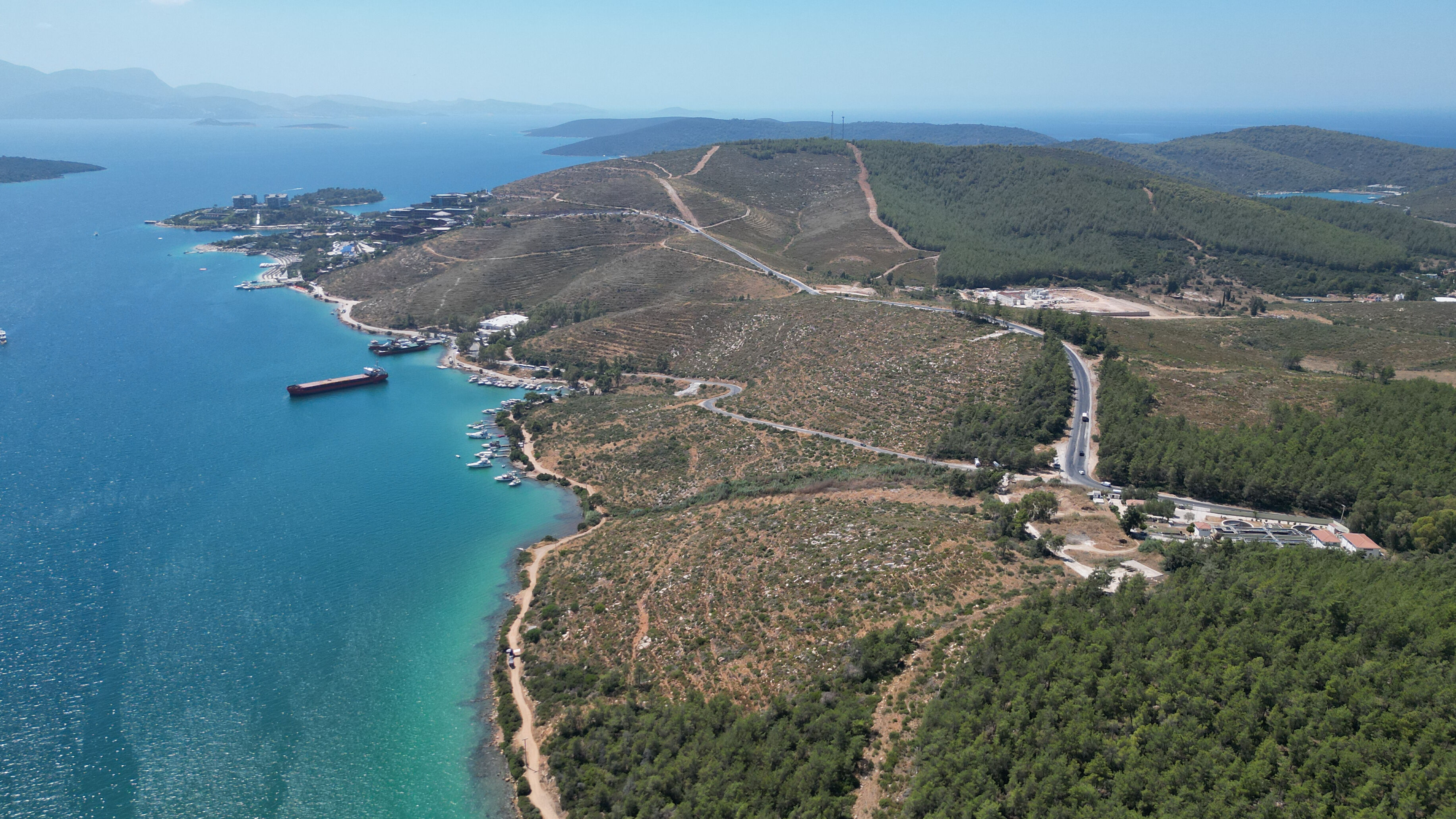 Alevler küle çevirmişti, şimdi alabildiğine yeşil! Binlerce hektar böyle kazandırıldı Alevler küle çevirmişti, şimdi alabildiğine yeşil! Binlerce hektar böyle kazandırıldı - 2. Resim
