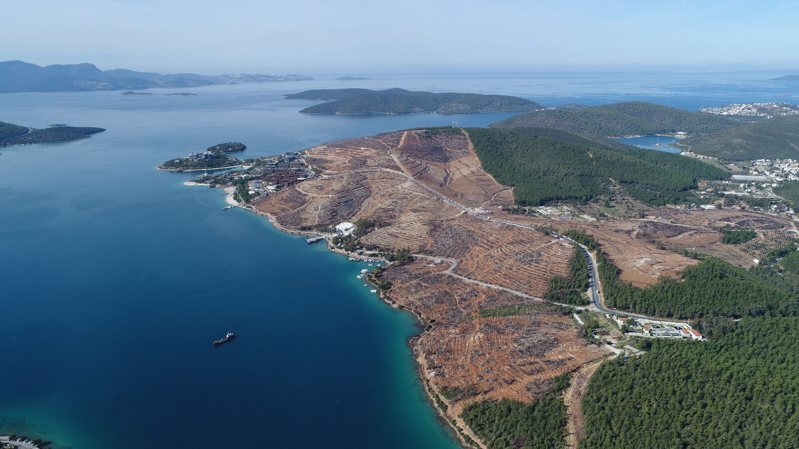 Alevler küle çevirmişti, şimdi alabildiğine yeşil! Binlerce hektar böyle kazandırıldı Alevler küle çevirmişti, şimdi alabildiğine yeşil! Binlerce hektar böyle kazandırıldı - 1. Resim