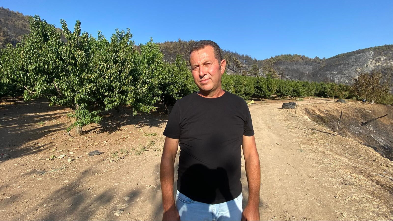 Gürsu'da her yer yandı sadece o tarla alevlere teslim olmadı! Sebebi ortaya çıktı: Meğer... Gürsu'da her yer yandı sadece o tarla alevlere teslim olmadı! Sebebi ortaya çıktı: Meğer... - 4. Resim