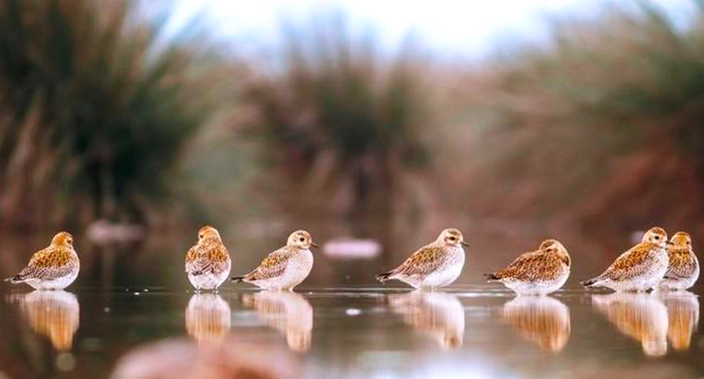 Kamuflajlı savcı saatlerce bekleyip fotoğraflıyor: Tetiğe değil, deklanşöre bas! - 7. Resim