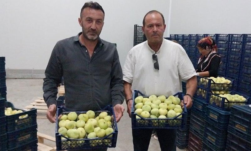 Kilosu 200 lirayı gördü! Mersin’in lezzeti dünyaya açıldı, tır tır ihracatı yapılıyor - 2. Resim