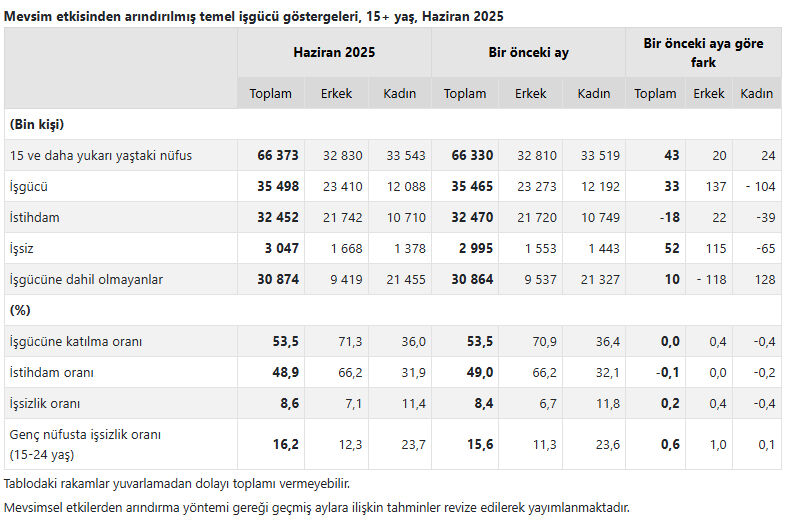 Türkiye'de ne kadar işsiz var? TÜİK rakamları açıkladı - 2. Resim