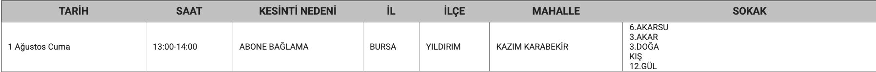 1 Ağustos Bursa elektrik kesintisi: UEDAŞ tam listeyi paylaştı, Bursa'da elektrikler ne zaman, saat kaçta gelecek? 1 Ağustos Bursa elektrik kesintisi: UEDAŞ tam listeyi paylaştı, Bursa'da elektrikler ne zaman, saat kaçta gelecek? - 15. Resim