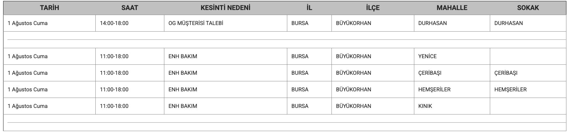 1 Ağustos Bursa elektrik kesintisi: UEDAŞ tam listeyi paylaştı, Bursa'da elektrikler ne zaman, saat kaçta gelecek? 1 Ağustos Bursa elektrik kesintisi: UEDAŞ tam listeyi paylaştı, Bursa'da elektrikler ne zaman, saat kaçta gelecek? - 3. Resim