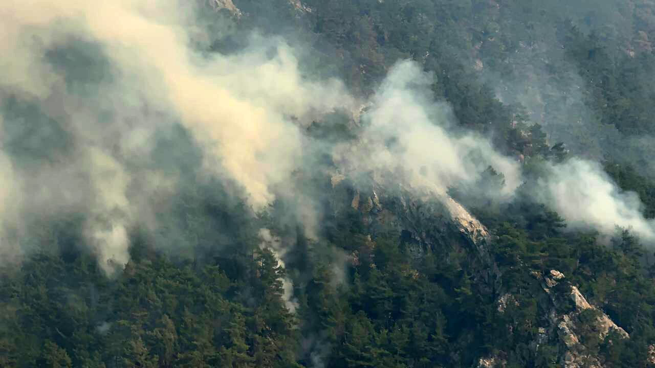 Adana'daki orman yangınını çıkaran kundakçıların o anları ortaya çıktı! İHA'dan kaçamadılar... - 2. Resim