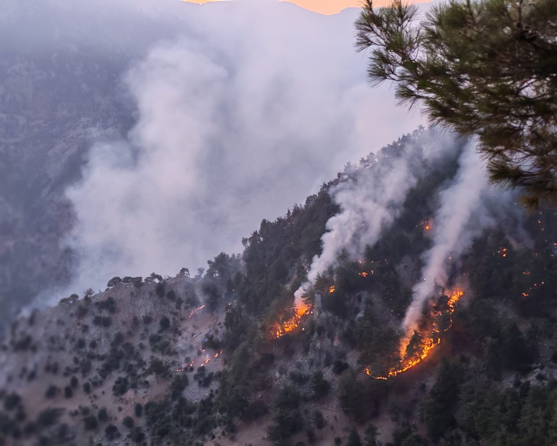 Adana'daki orman yangınını çıkaran kundakçıların o anları ortaya çıktı! İHA'dan kaçamadılar... - 1. Resim