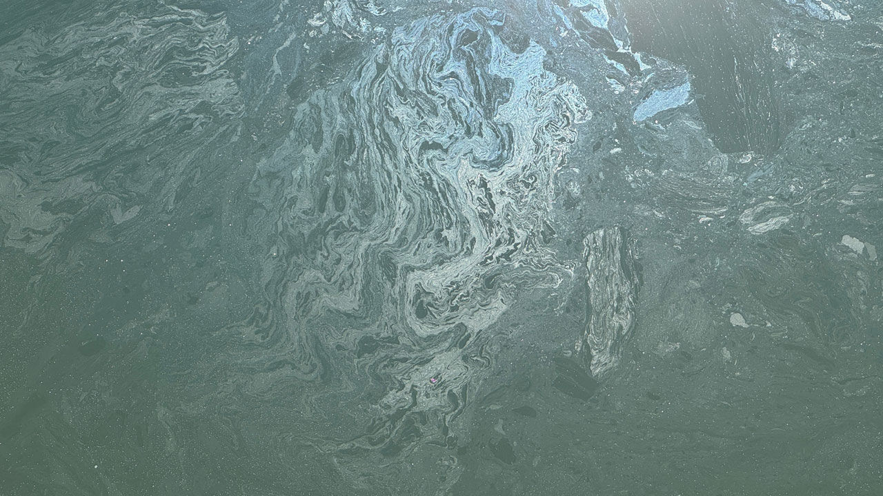 Bartın Irmağı'ndan korkutan görüntü geldi, balık tutmak yasaklandı! Bartın Irmağı'ndan korkutan görüntü geldi, balık tutmak yasaklandı! - 2. Resim