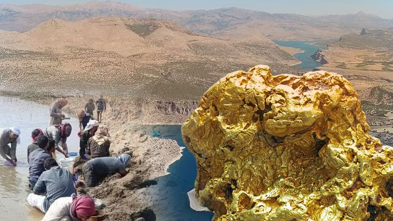  -Nehir çekilince ortaya çıktı: Altın izdihamı!