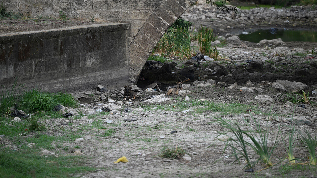 O eski halinden eser yok şimdi! Edirne'deki Tunca Nehri'nden yürek burkan manzaralar O eski halinden eser yok şimdi! Edirne'deki Tunca Nehri'nden yürek burkan manzaralar - 2. Resim