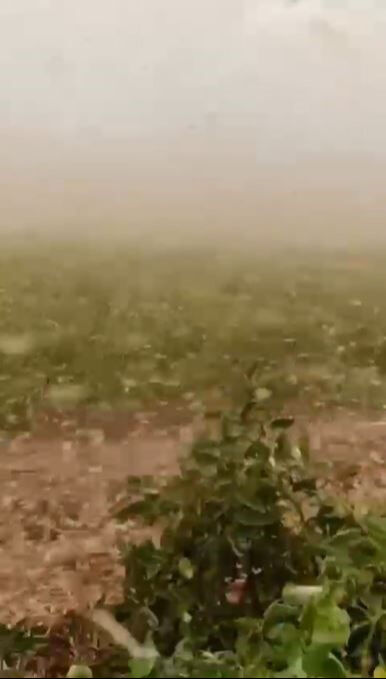 Olay anlar... Şanlıurfa’da 50 derece yetmedi, bir de fırtına geldi! Çiftçiler kaçacak yer aradı Olay anlar... Şanlıurfa’da 50 derece yetmedi, bir de fırtına geldi! Çiftçiler kaçacak yer aradı - 2. Resim