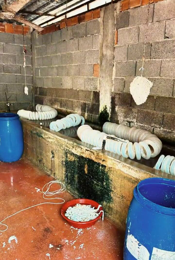 Yine Adana yine gıda skandalı! Vatandaşa yedireceklerdi, 5 ton yakalandı - 3. Resim