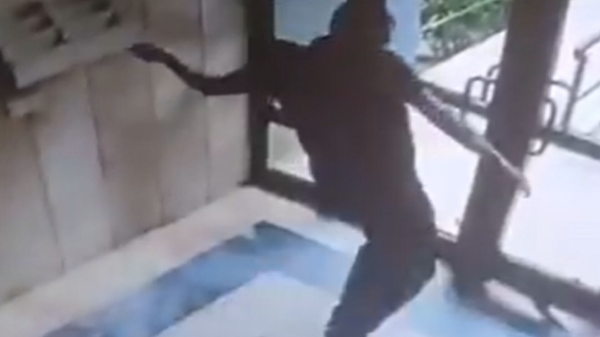 Bakan Tunç'tan sokak kedisini vahşice katleden şahsa yönelik açıklama! 