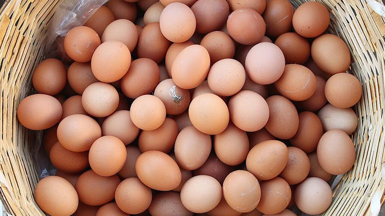 Bakanlık piyasayı sıkı takipte! Yumurta üreticisinin eli rahatladı Bakanlık piyasayı sıkı takipte! Yumurta üreticisinin eli rahatladı - 1. Resim