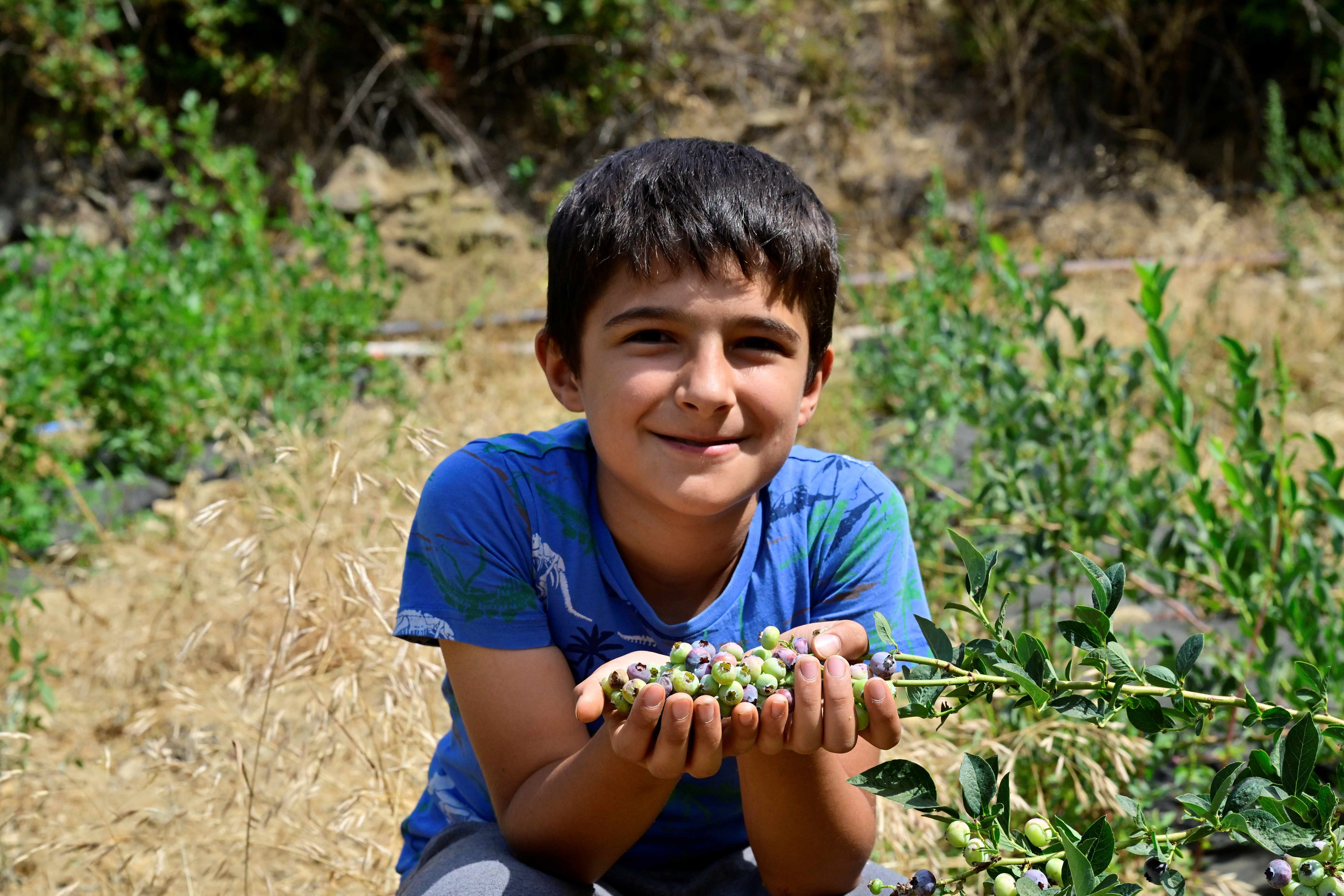 Çiftçi inat etti, 3 yılın sonunda hasadını yaptı: Kilosu 400 lira... 8 yılın sonunda 20'ye katlanacak - 1. Resim