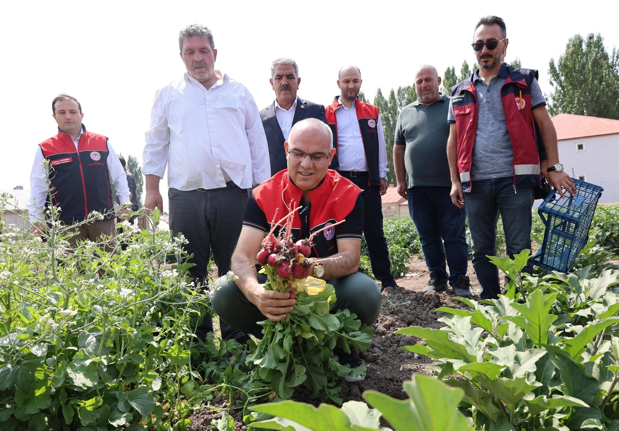 Hibe ile üretime başlanmıştı! 14 bin ton verim hedefleniyor - 1. Resim
