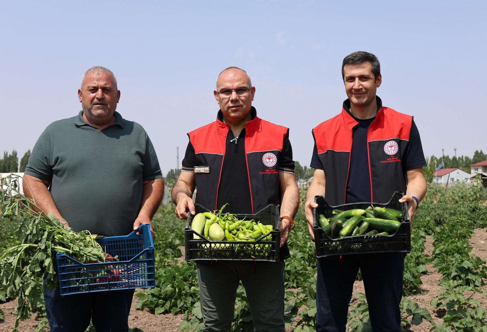 Hibe ile üretime başlanmıştı! 14 bin ton verim hedefleniyor - 2. Resim