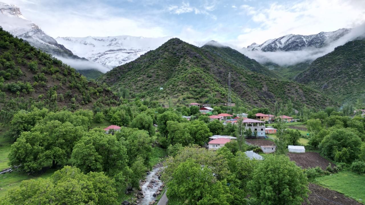 2 bitki bir yıl incelendi: Şırnak&#039;ta keşfedildi, 3 büyük hastalığın devası çıktı!