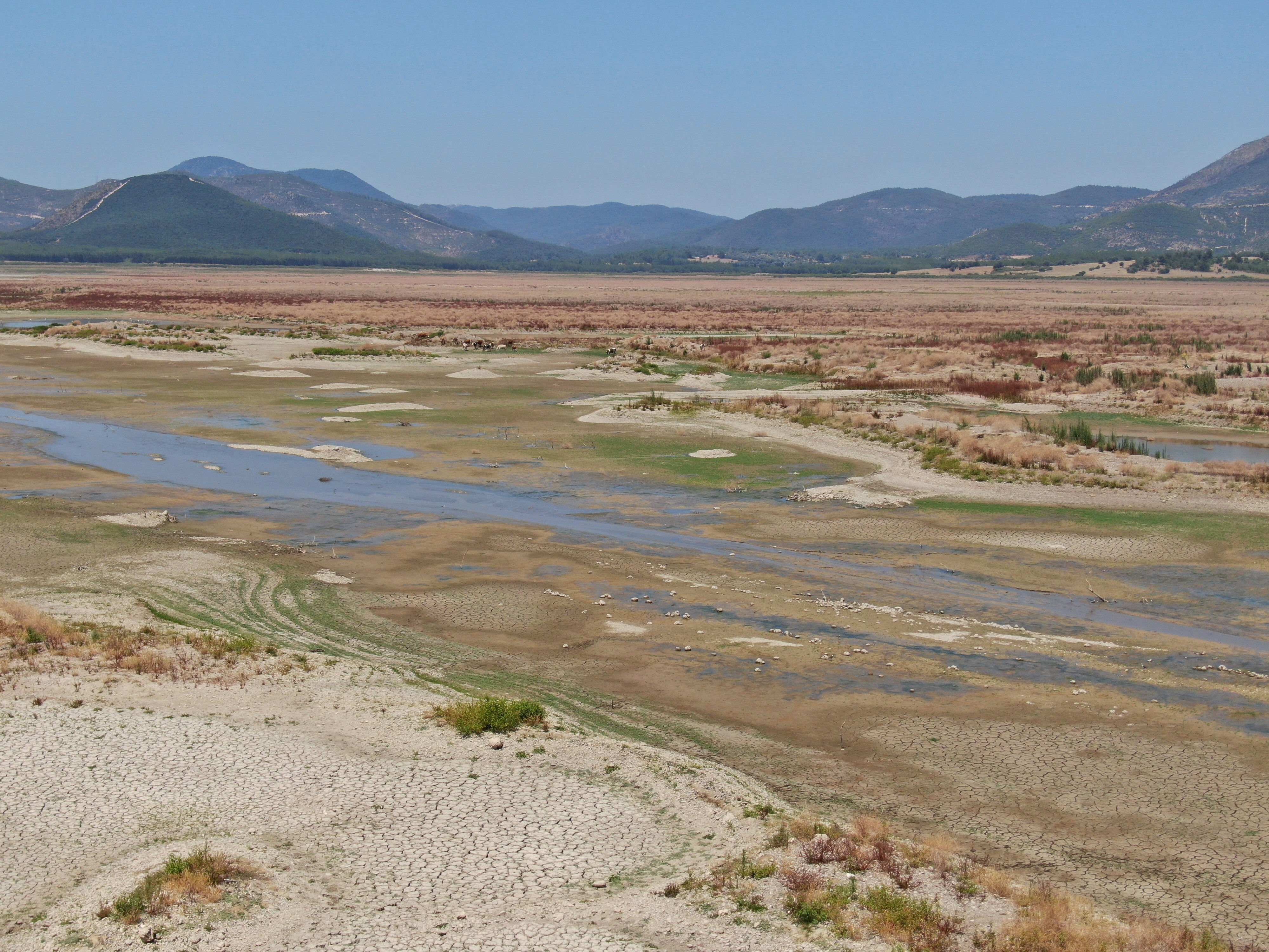 Bir kentte alarm zilleri çalıyor! Kurul toplandı, karar alındı, tarih verildi: Gece boyu susuz kalacaklar Bir kentte alarm zilleri çalıyor! Kurul toplandı, karar alındı, tarih verildi: Gece boyu susuz kalacaklar - 2. Resim