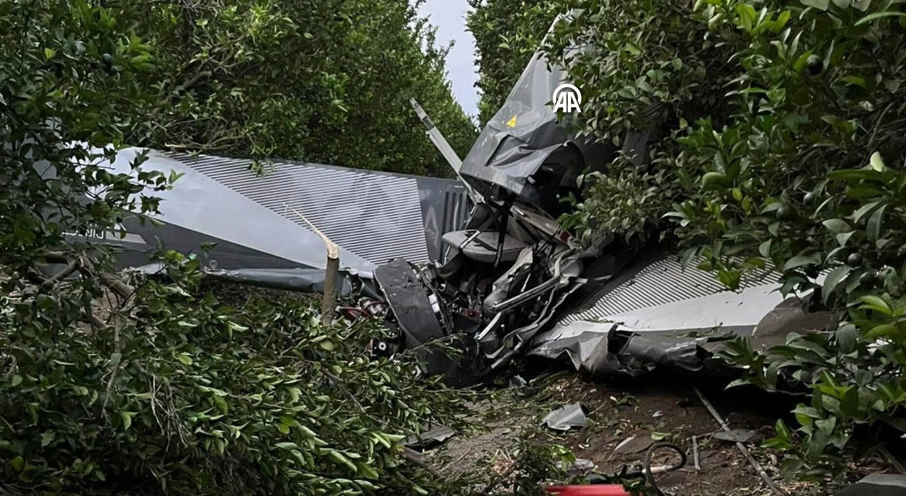 Evlilik teklifi organizasyonu faciayla bitti! Uçak düştü, 2 kişi ağır yaralı Evlilik teklifi organizasyonu faciayla bitti! Uçak düştü, 2 kişi ağır yaralı - 1. Resim