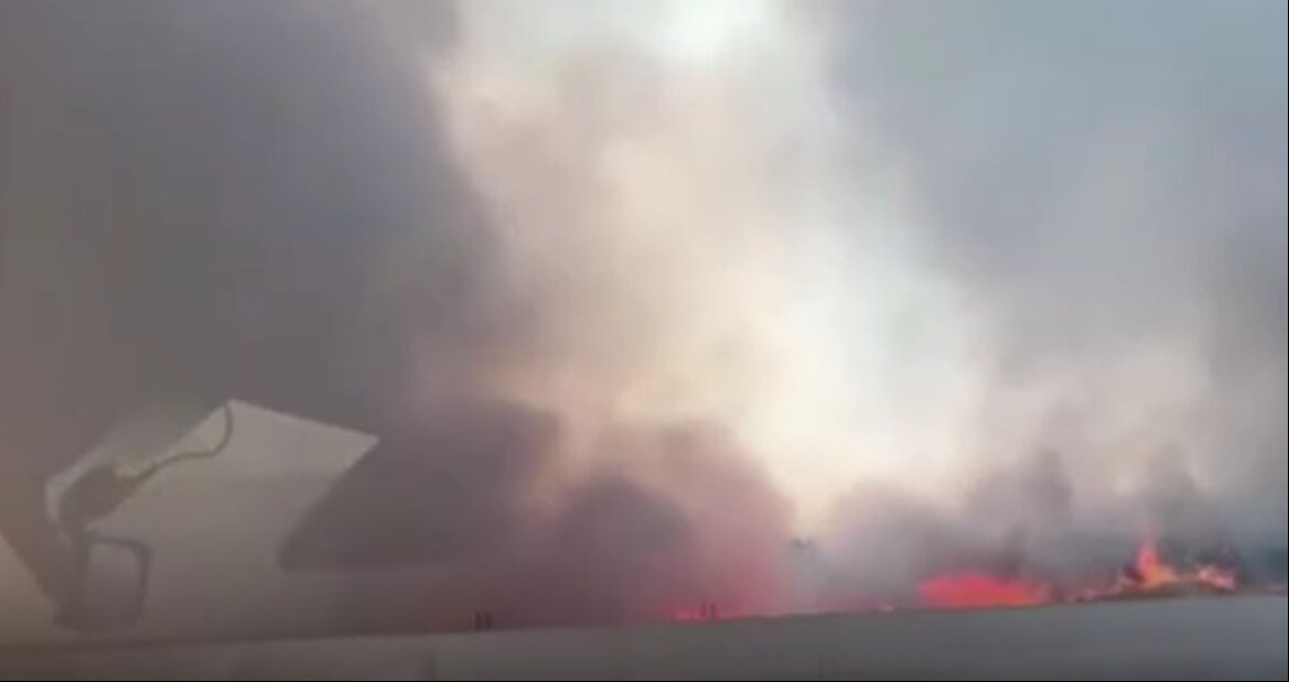 İstanbul'da cayır cayır yangın! D-100 Esenyurt mevkiinde alevler yükseldi, sürücüler zor anlar yaşadı İstanbul'da cayır cayır yangın! Esenyurt'ta alevlere müdahale ediliyor - 1. Resim