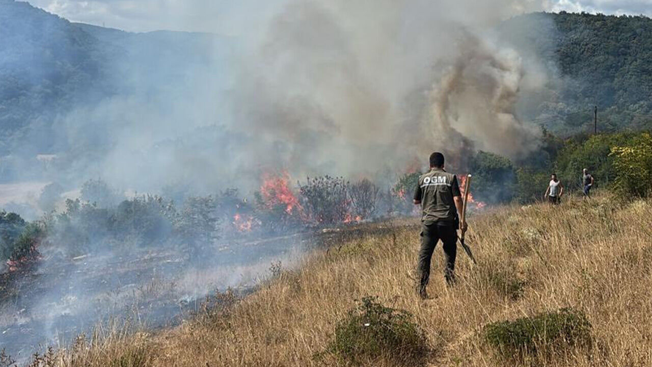 Kırklareli'nde orman yangını! Alevler kısa sürede söndürüldü Kırklareli'nde orman yangını! Alevler kısa sürede söndürüldü - 1. Resim