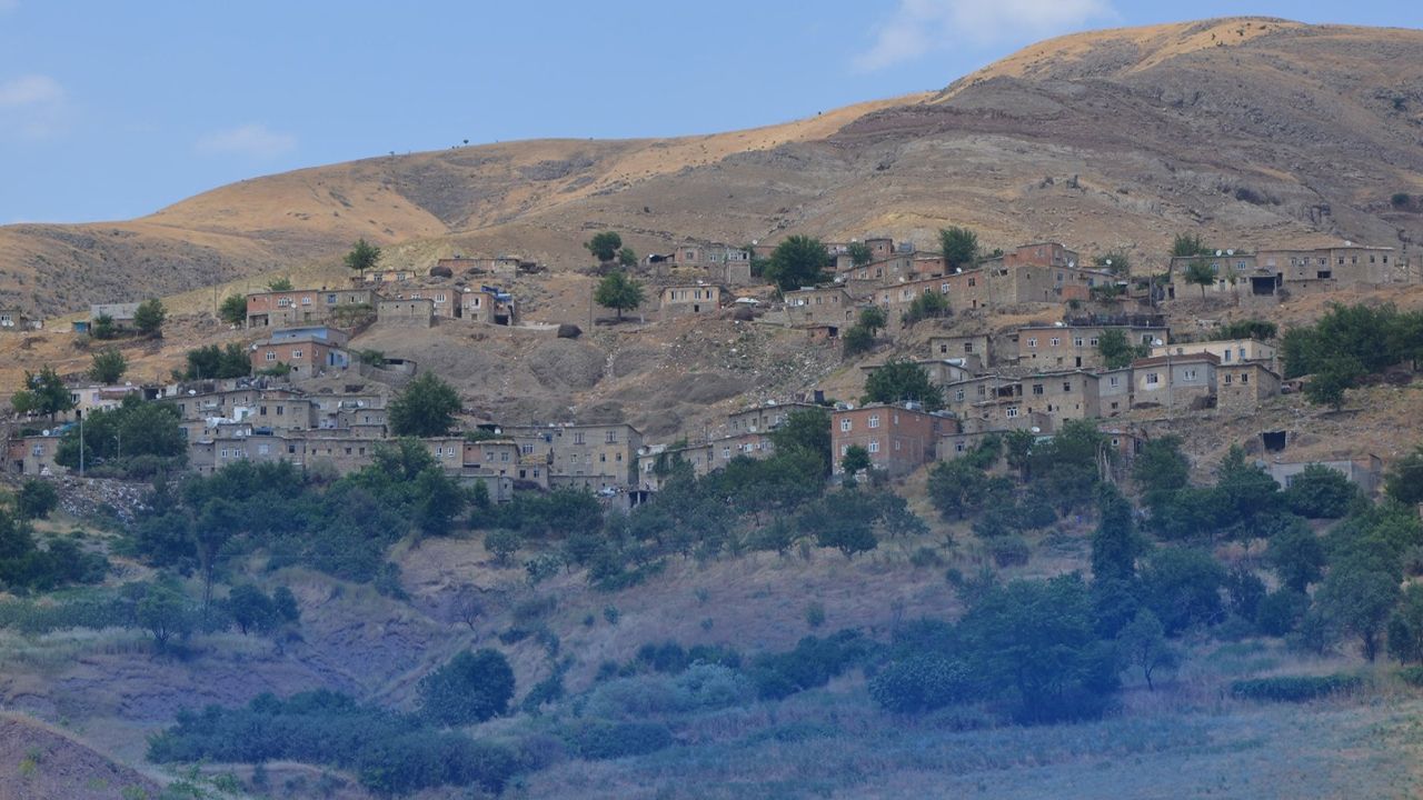 Yaşam