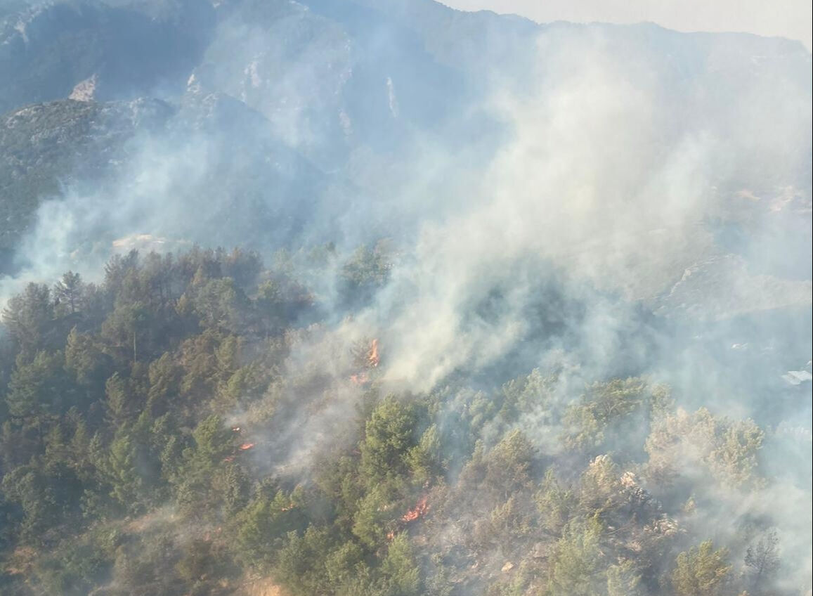 Mersin'de benzin döküp orman yakmışlardı! 2 şahıs tutuklandı - 1. Resim