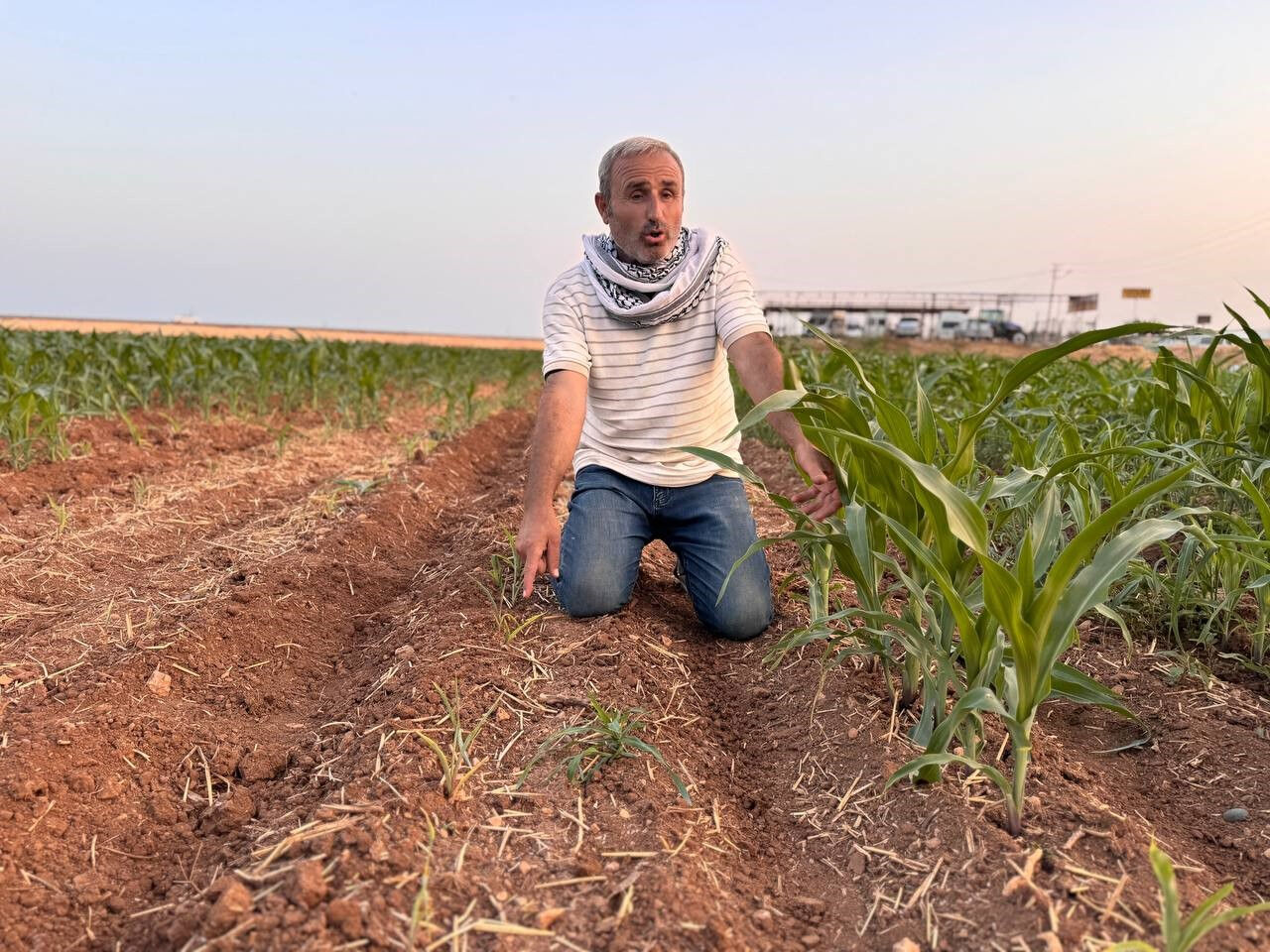 400 bin TL'lik yatırıma rağmen tarla boş kaldı... Suruçlu çiftçi isyan etti: Ruh sağlığım bozuldu - 1. Resim