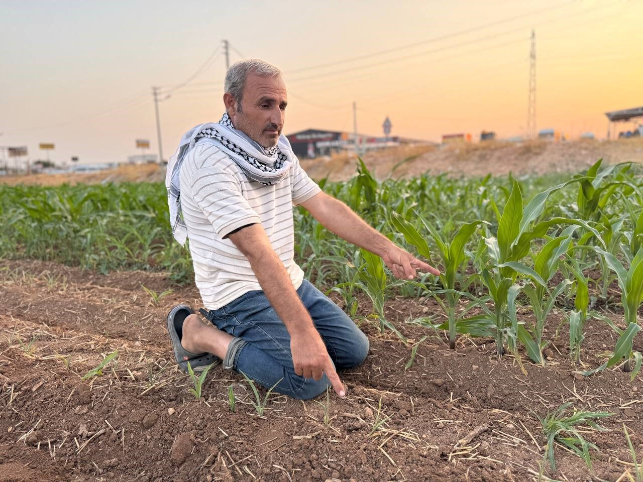 400 bin TL'lik yatırıma rağmen tarla boş kaldı... Suruçlu çiftçi isyan etti: Ruh sağlığım bozuldu - 2. Resim