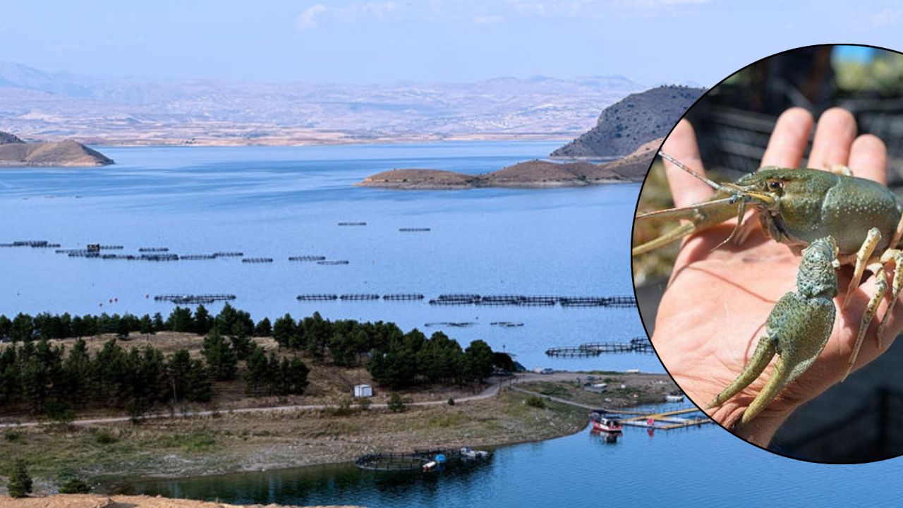 Göl kenarında gördükleriyle şaşkına döndüler! Endişeye düşüren manzara sonrası araştırma talep ettiler Göl kenarında gördükleriyle şaşkına döndüler! Endişeye düşüren manzara sonrası araştırma talep ettiler