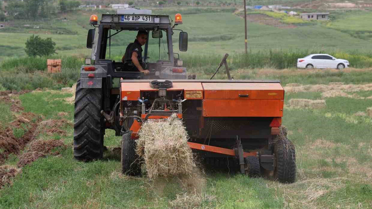 Köyüne dönene her şey hazır: Toprak, kredi, ev... Ev gençleri çiftçi olacak - 1. Resim