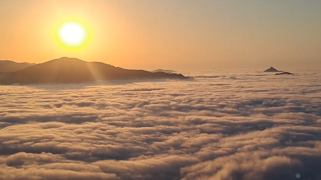 Nadir ortaya çıkıyor, gören telefonuna sarılıyor! Kendine hayran bıraktı - 1. Resim
