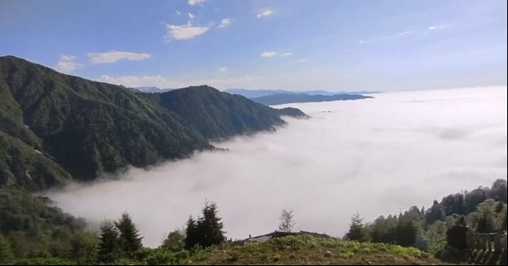Nadir ortaya çıkıyor, gören telefonuna sarılıyor! Kendine hayran bıraktı - 2. Resim