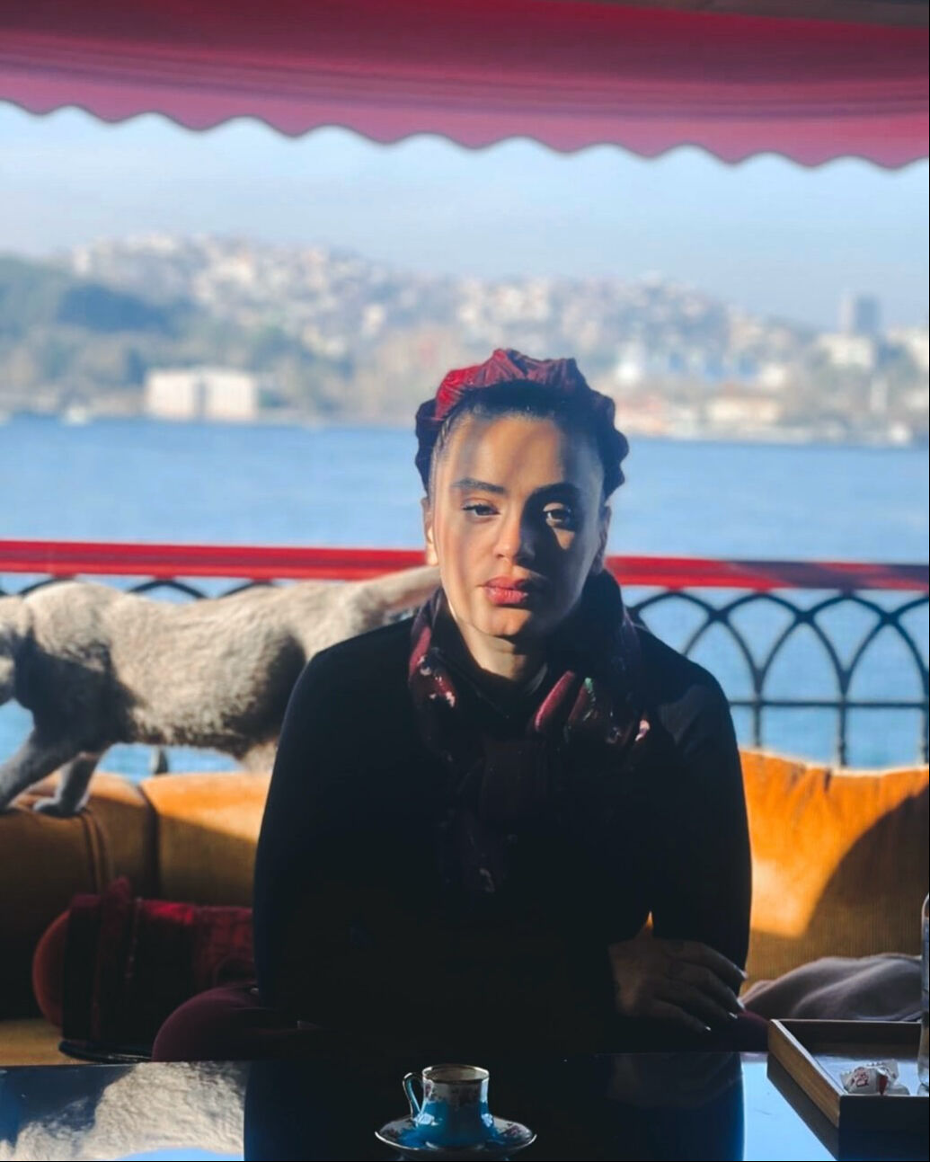 Sahibinin mezarından ayrılmıyordu! Ünlü şarkıcı Ceylan Ertem sahiplendi - 4. Resim