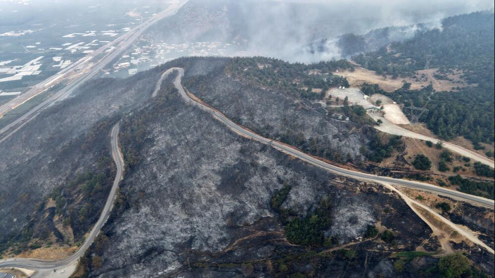 Türkiye'nin de yüreği yandı! Orman yangınlarıyla ilgili kritik açıklama: Yenilenmesi 100 yılı buluyor - 4. Resim